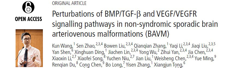 Read more about the article 课题组于Journal of Medical Genetics杂志发表Perturbations of BMP/TGF-β and VEGF/VEGFR signaling pathways in non-syndromic sporadic brain arteriovenous malformations (BAVM)